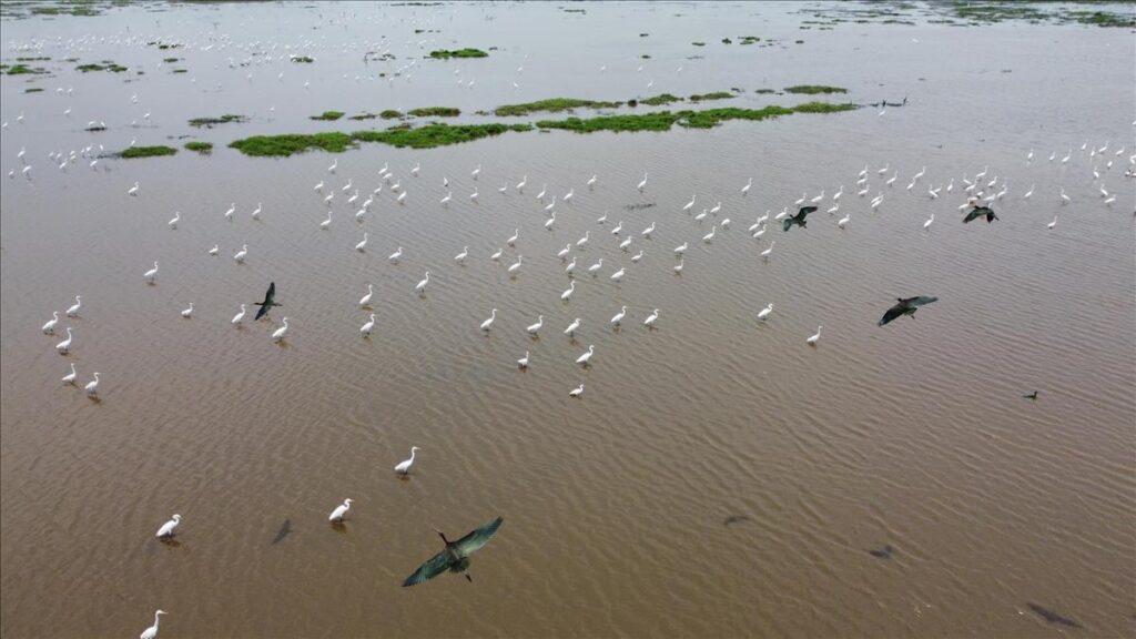 tram-chim-national-park-dong-thap-viet-nam-fishing-tour-trip-travel-anglers-summer-2026-businesswomen-2