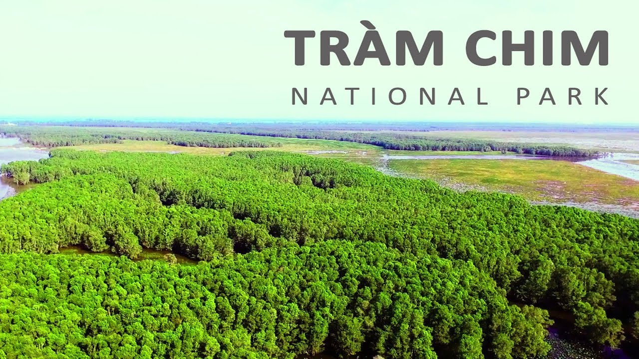 tram-chim-national-park-dong-thap-viet-nam-fishing-tour-trip-travel-anglers-summer-2026-bussinesman