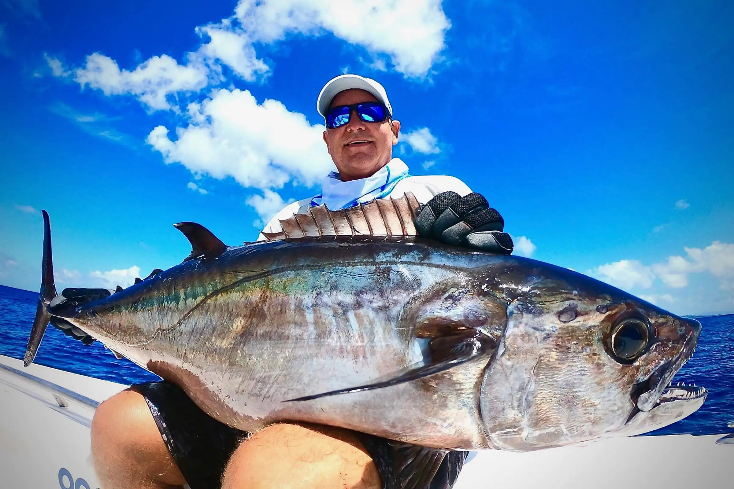 Amberjack and Dogtooth Tuna
