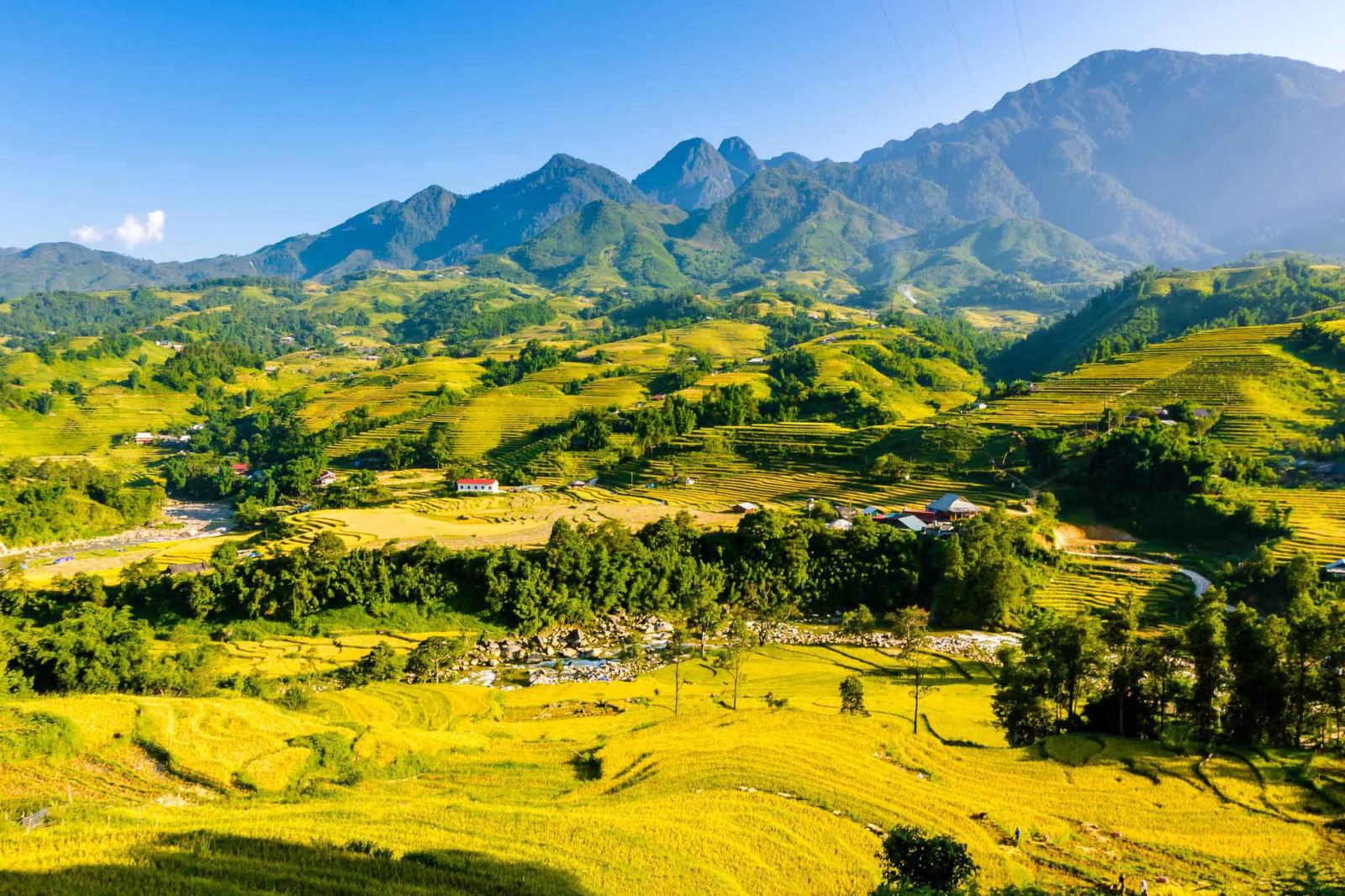 Sapa