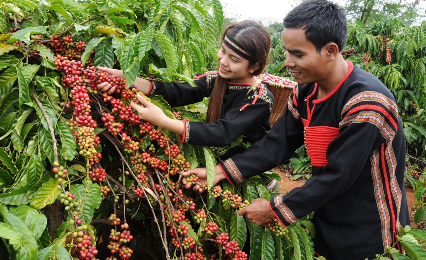 Buon Me Thuot Coffee