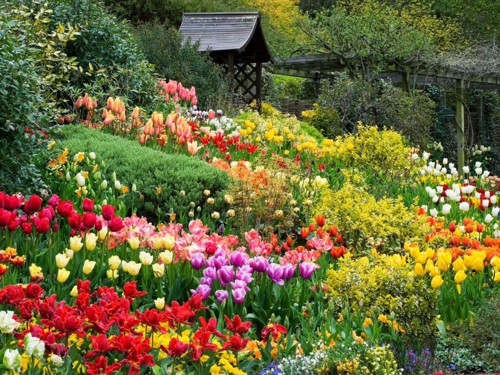 Da Lat Flower Gardens