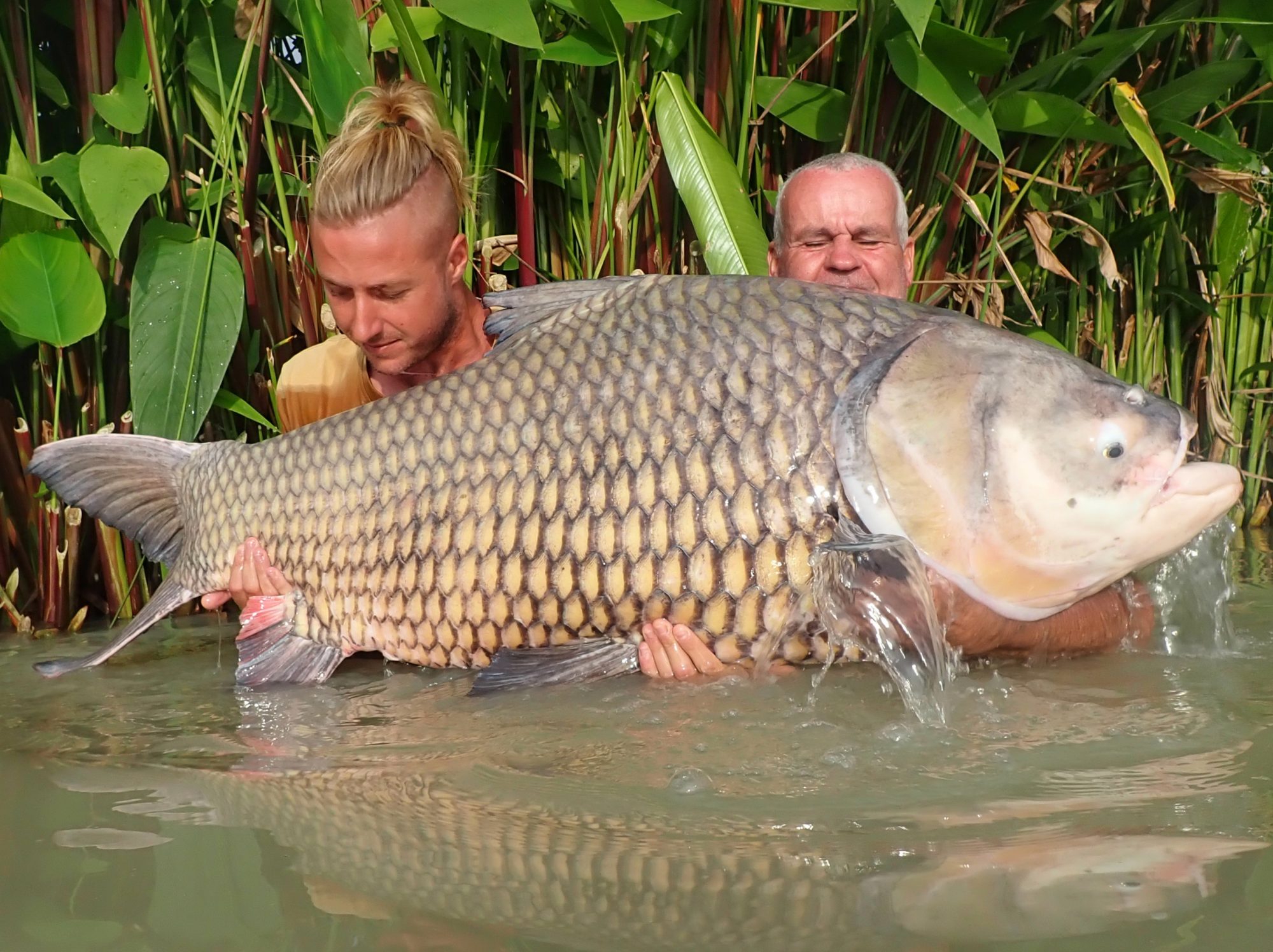 Giant Barb-fish-vietnam-fishing-tour-trip-travel-angler