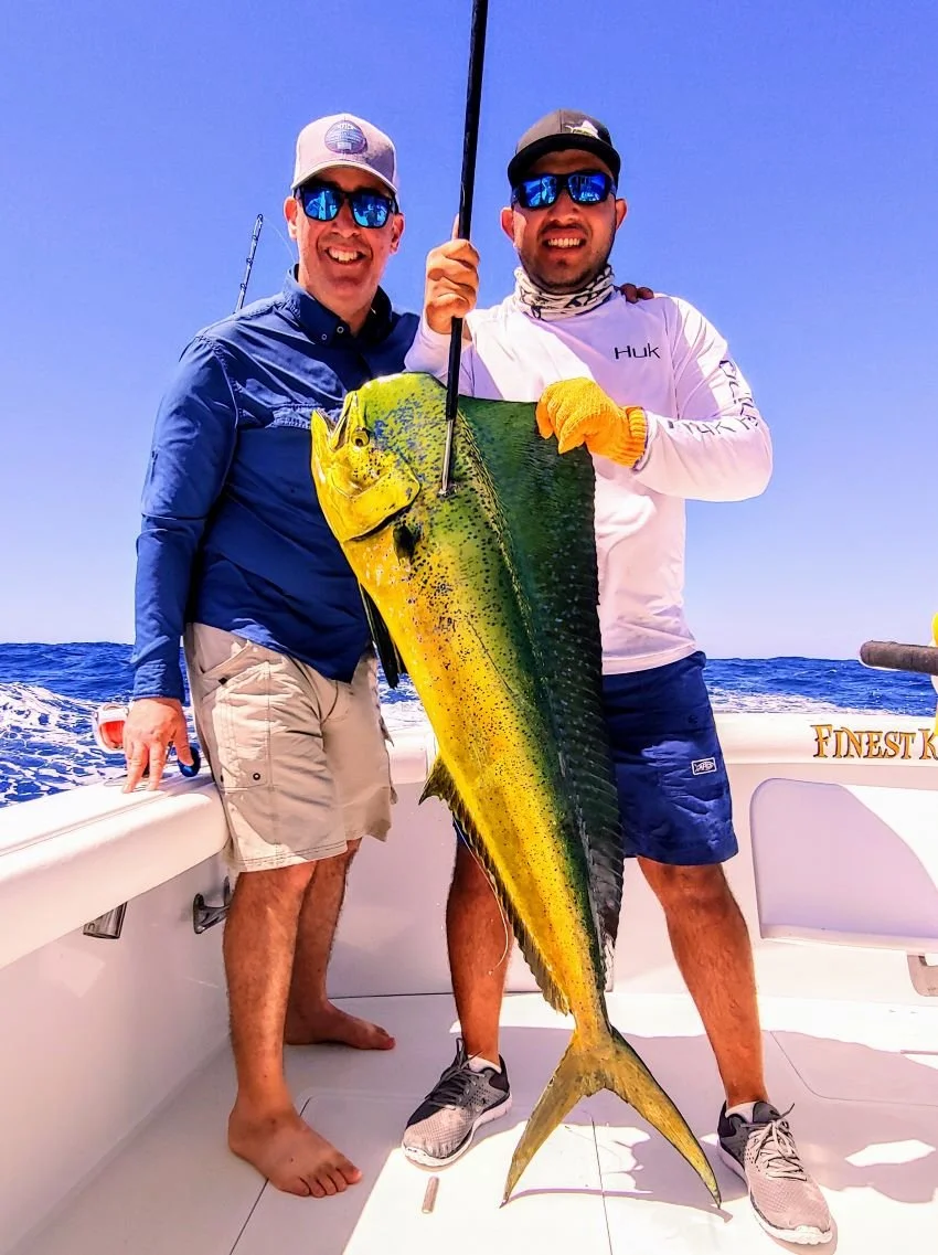 Mahi Mahi