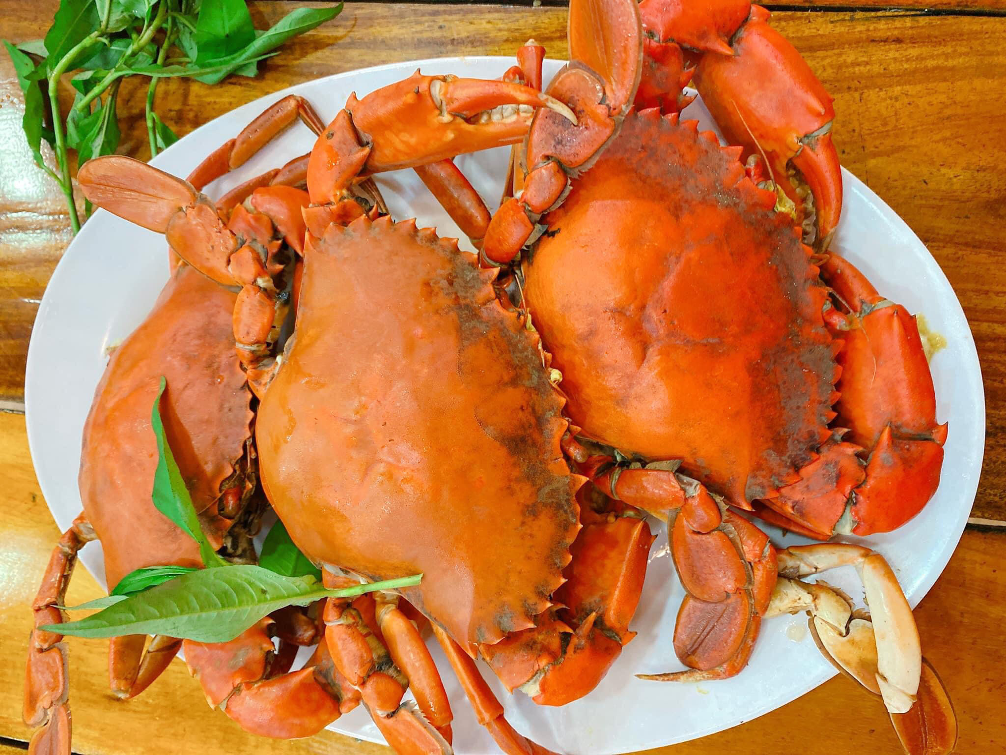 Năm Căn Mud Crab (Cua Năm Căn)
