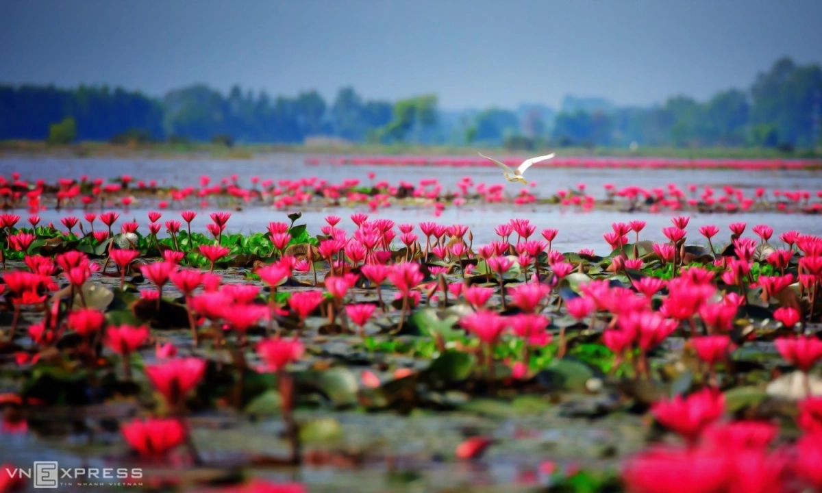 Tay-Ninh-province-vietnam-fishing-tour-trip-travel-angler-autumn-dau-tieng-lake-1
