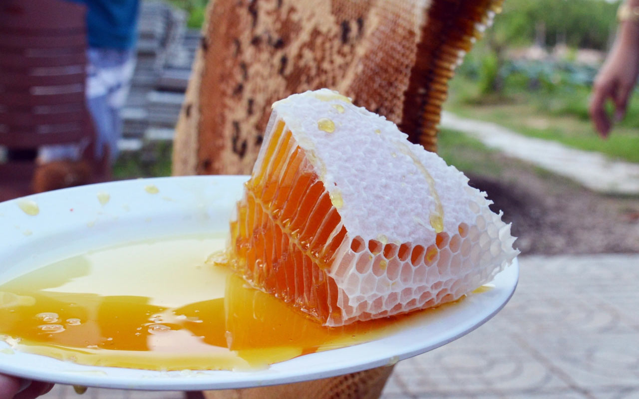 U Minh Wild Forest Honey (Mật ong rừng U Minh)