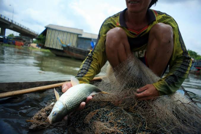an-giang-province-vietnam-fishing-tours-trips-travels-anglers-lure-flyfishing-autumn-2
