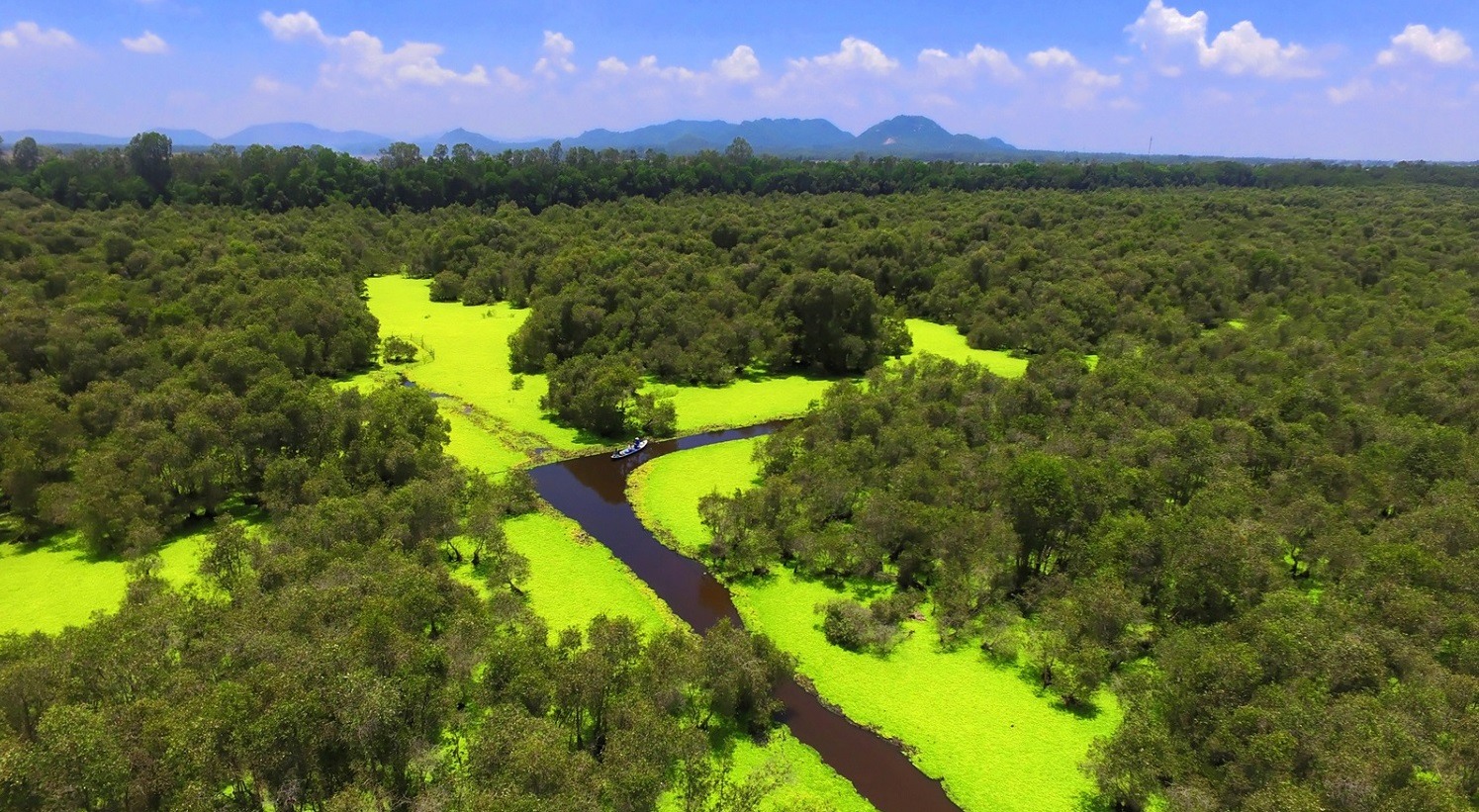 Tra Su Cajuput Forest