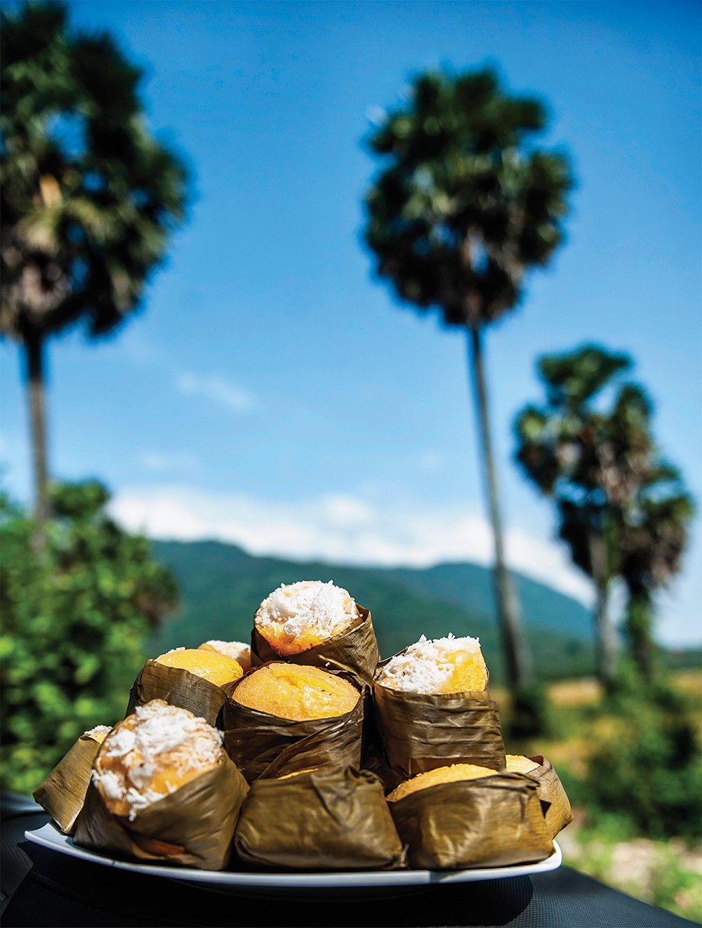 Thốt Nốt (palm sugar cakes)
