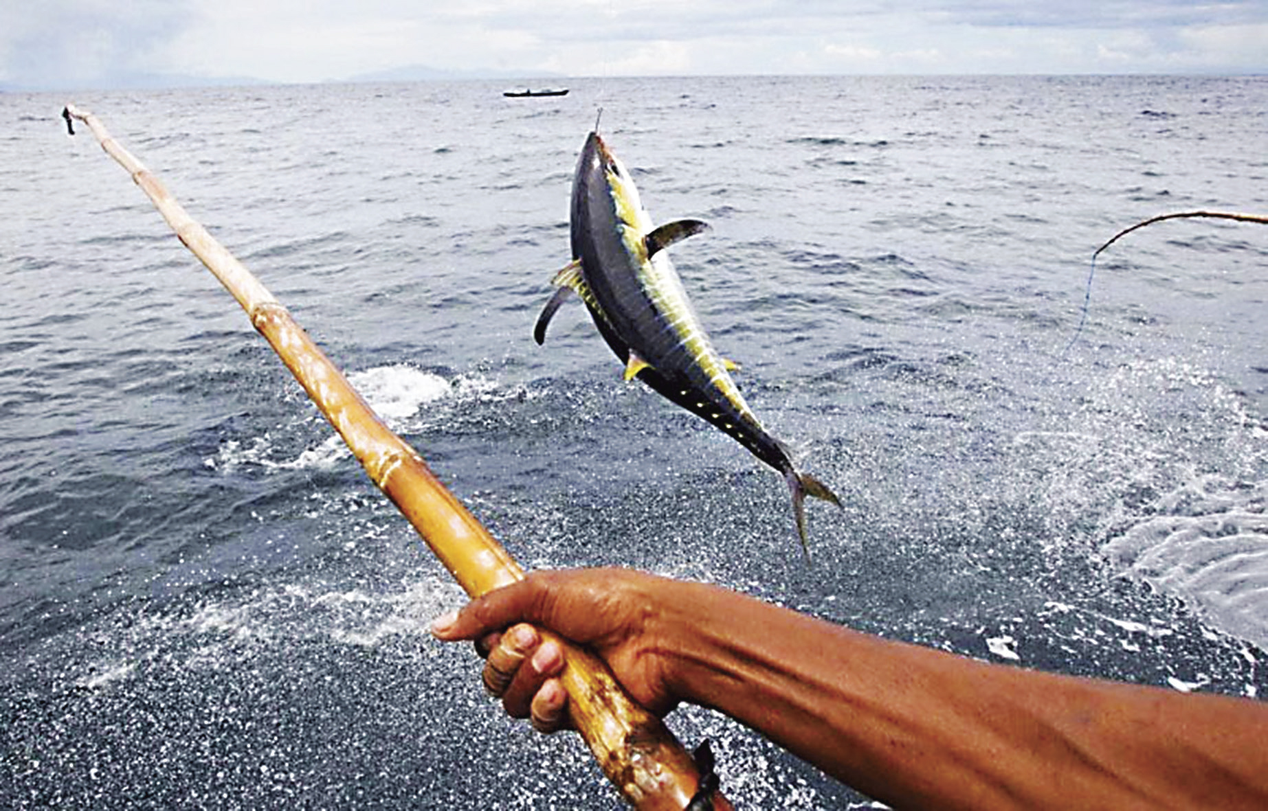 autumn-quang-tri-province-vietnam-fishing-tour-trip-travel-angler-2