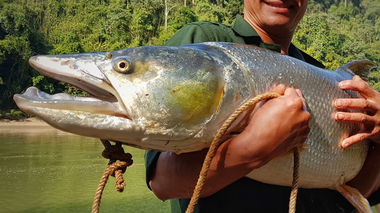 autumn-vietnam-fishing-tours-trips-travels-anglers-gia-lai-province