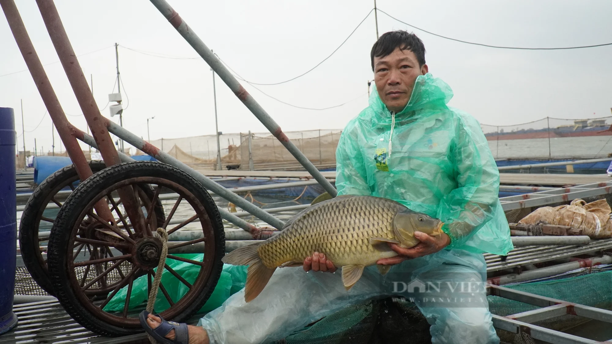 bac-ninh-carp-vietnam-fishing-tour-trip-travel-angler