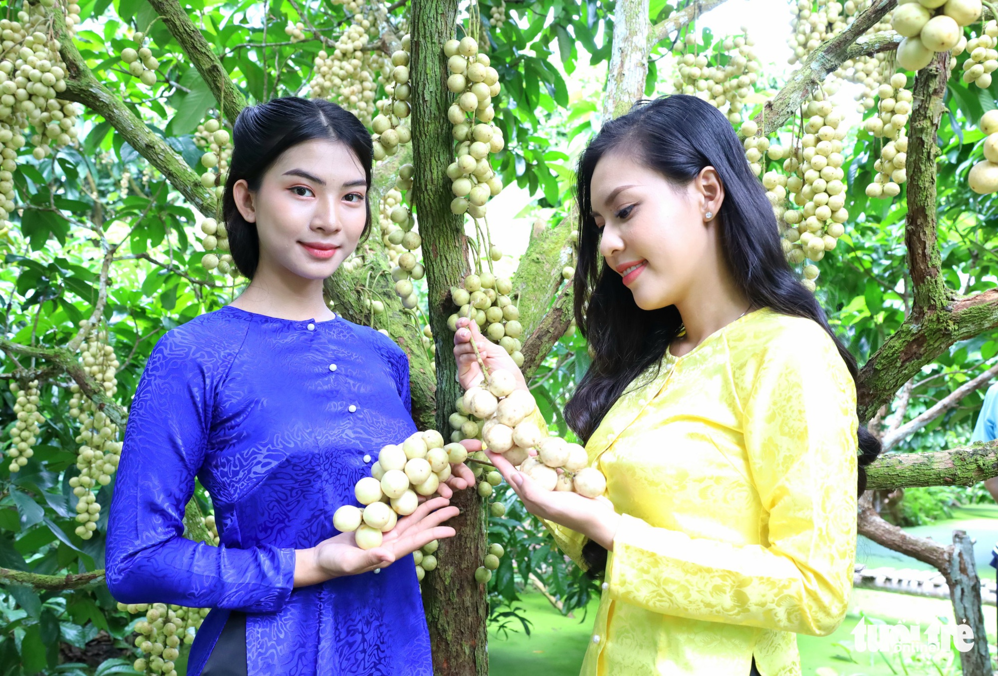 can-tho-vietnam-fishing-tour-dau-ha-chau