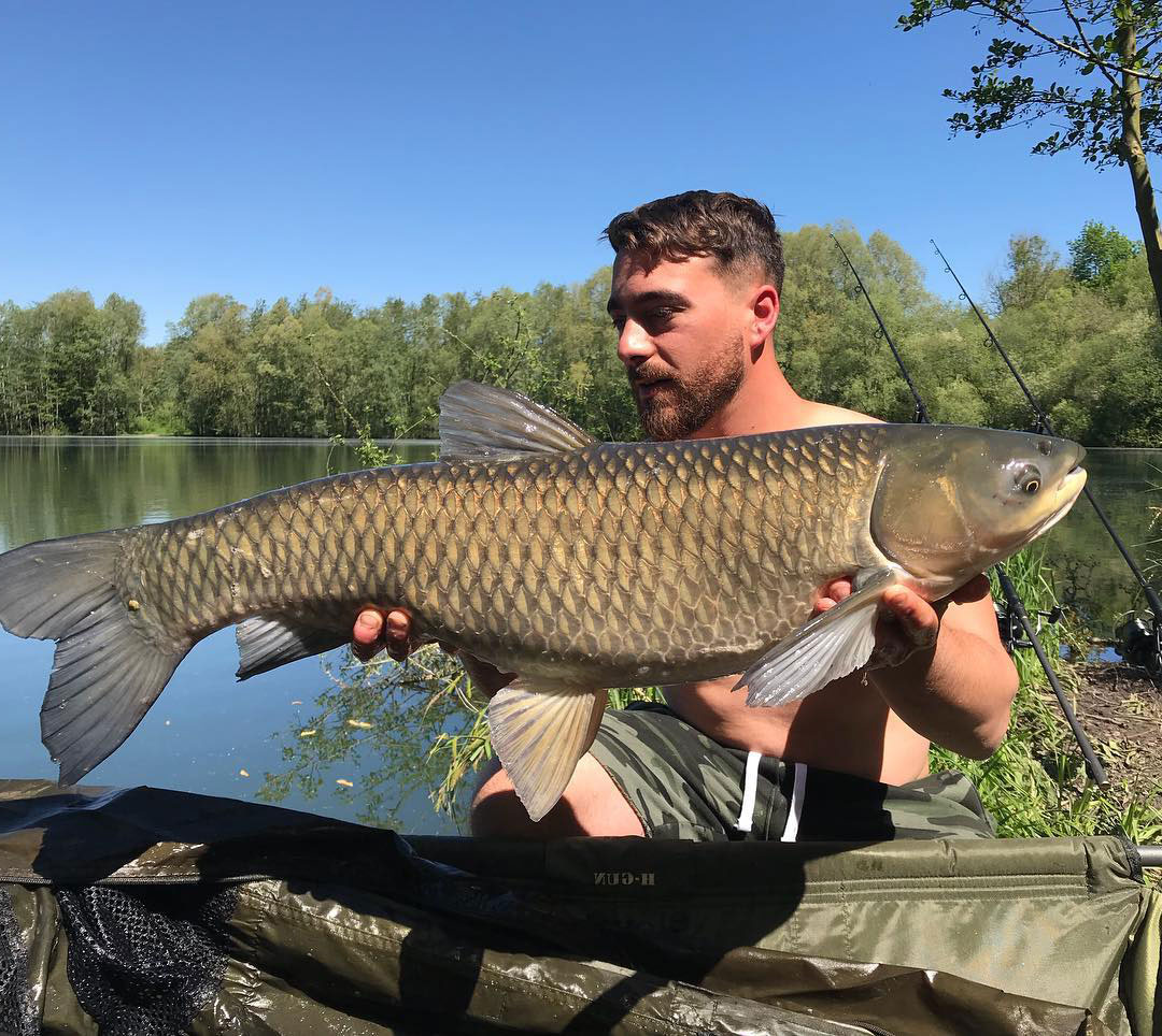hanoi-city-vietnam-fishing-tours-trips-travels-anglers-lure-flyfishing-autumn-grass-carp