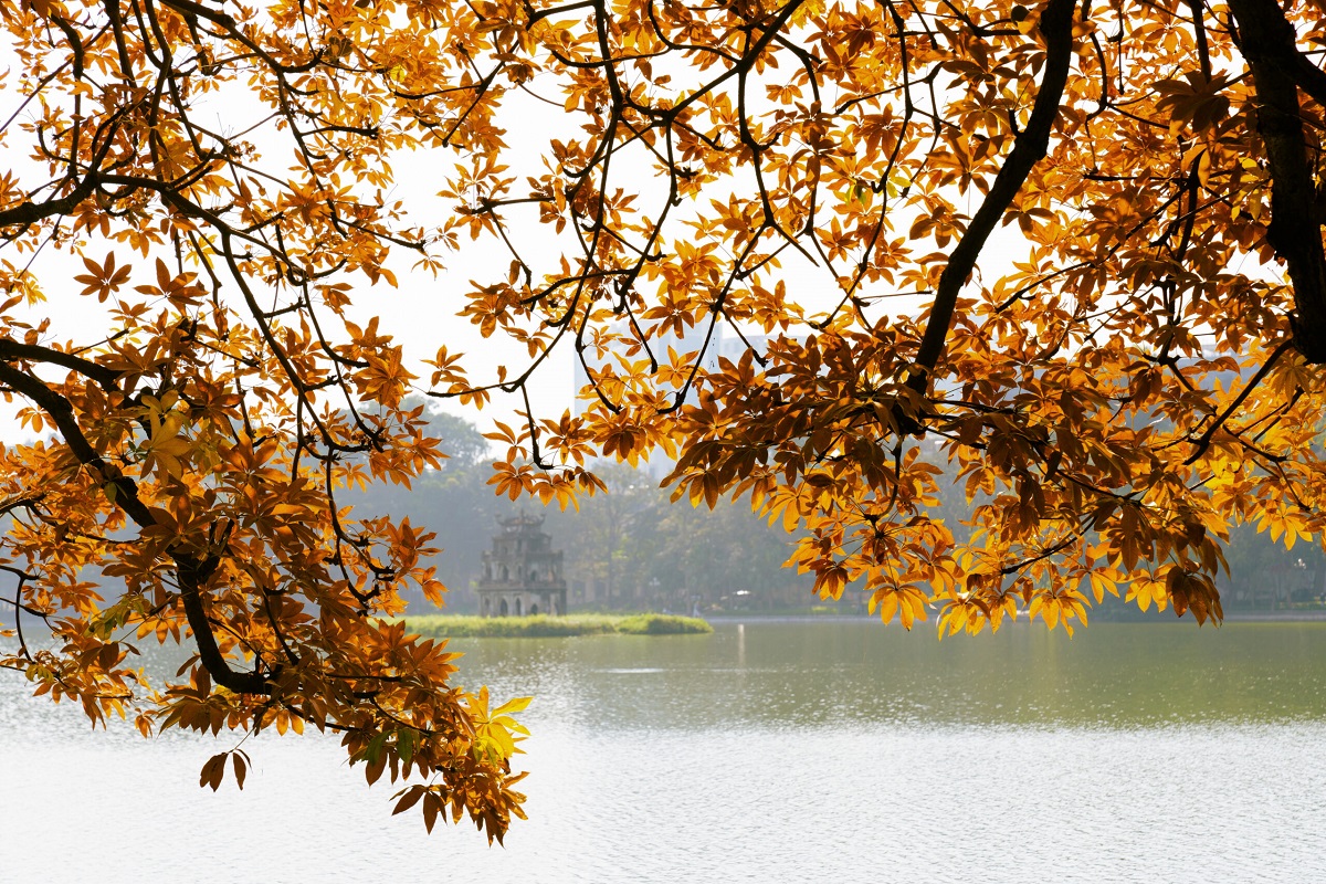 hanoi-city-vietnam-fishing-tours-trips-travels-anglers-lure-flyfishing-autumn