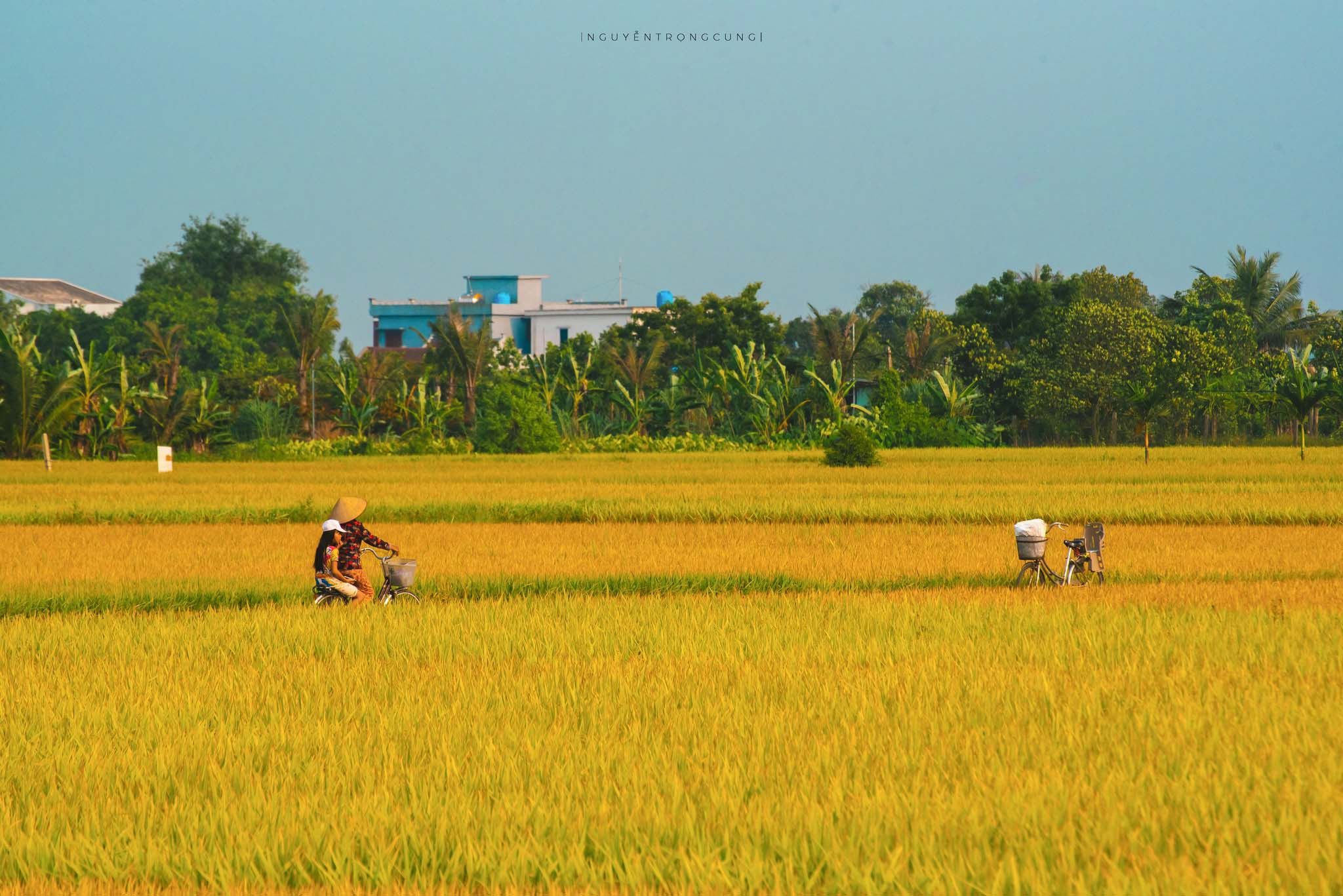 northern-vietnam-fishing-tours-trips-travel-anglers-autumn-in-hung-yen-province-22