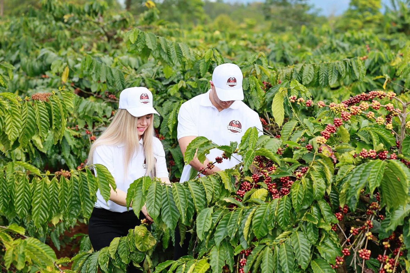 vietnam-fishing-tour-trip-travel-angler-gia-lai-province-coffee