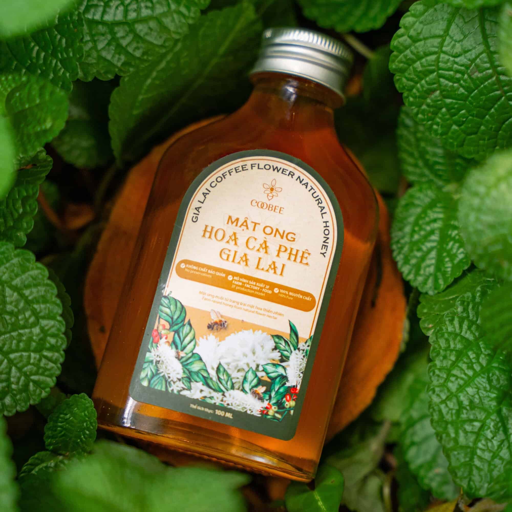 Gia Lai's specialty: Honey harvested from coffee flowers.