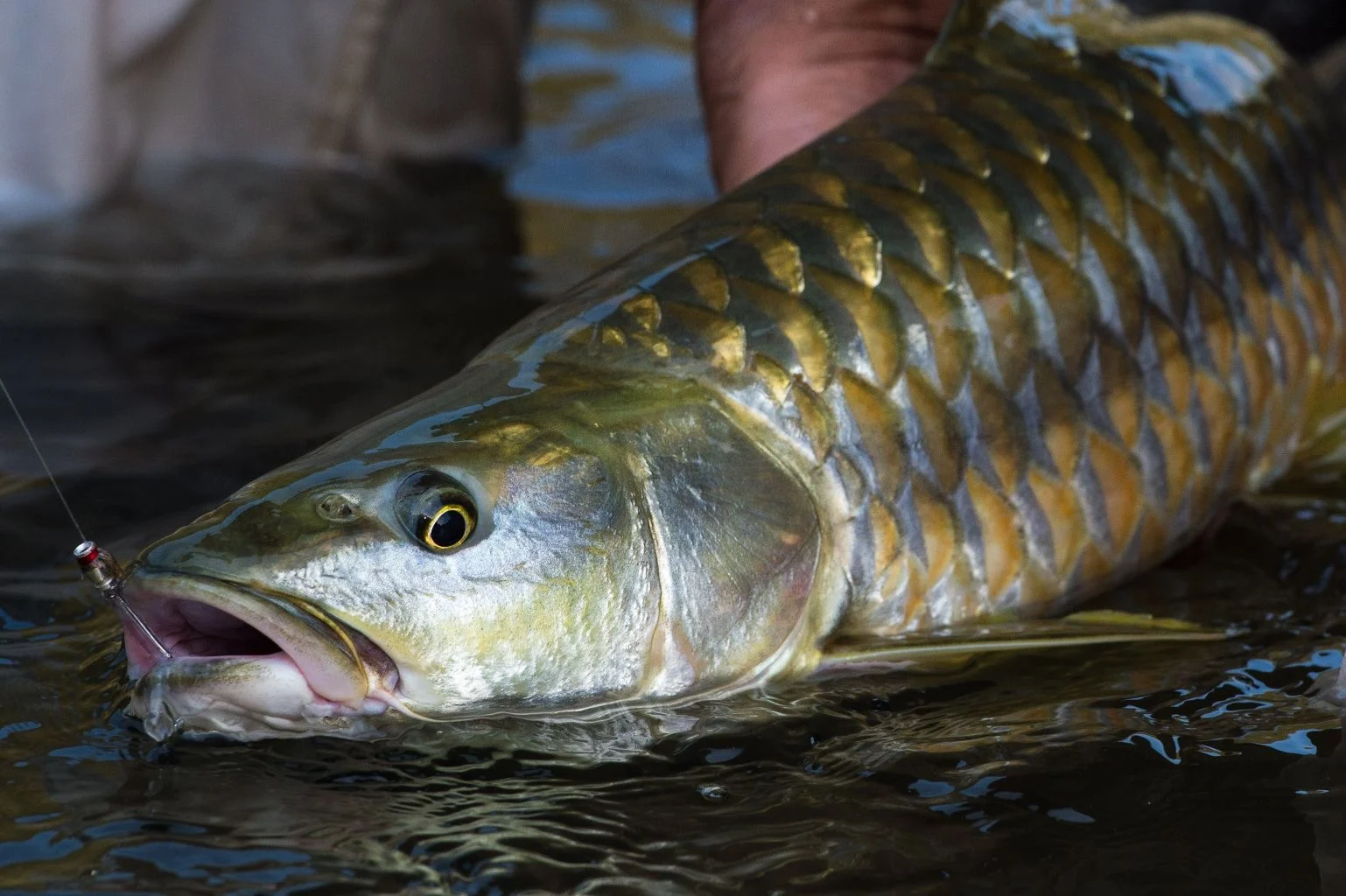 vietnam-fishing-tour-trip-travel-angler-mahseer