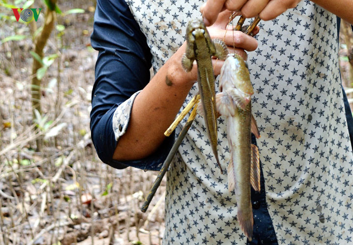 vietnam-fishing-tour-trip-travel-anglers-ca-mau