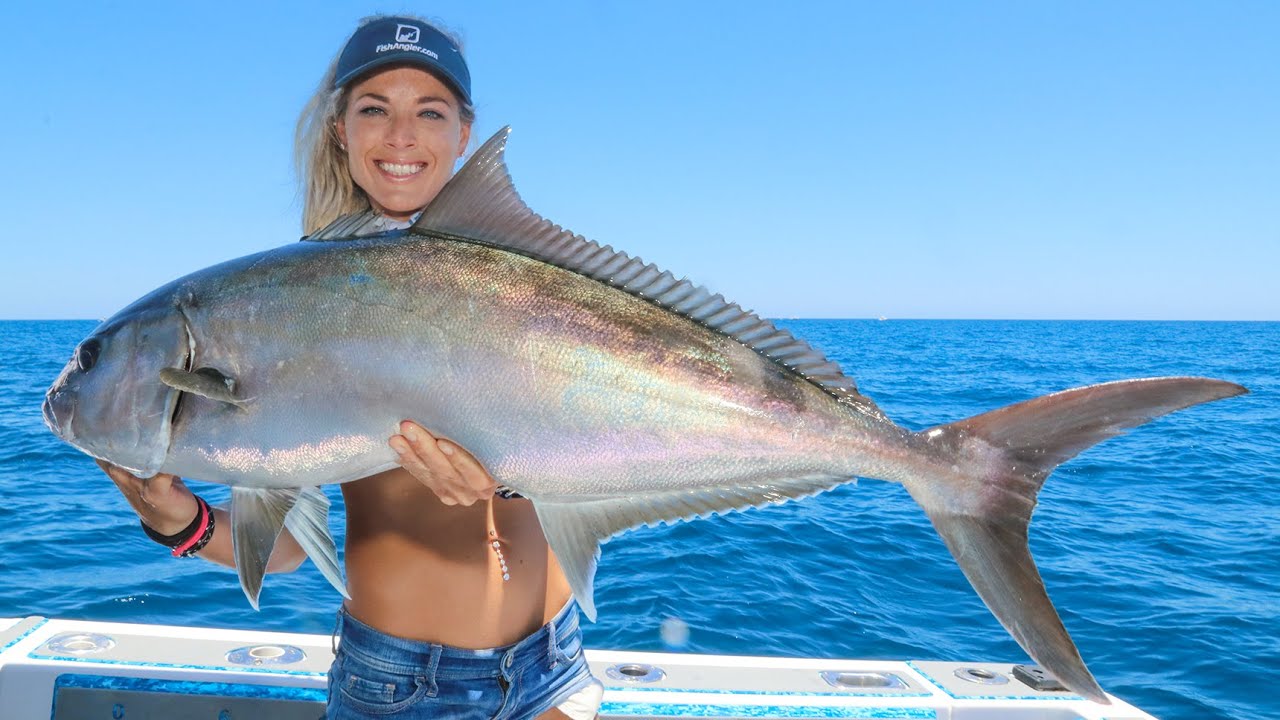 Deep-water Amberjacks