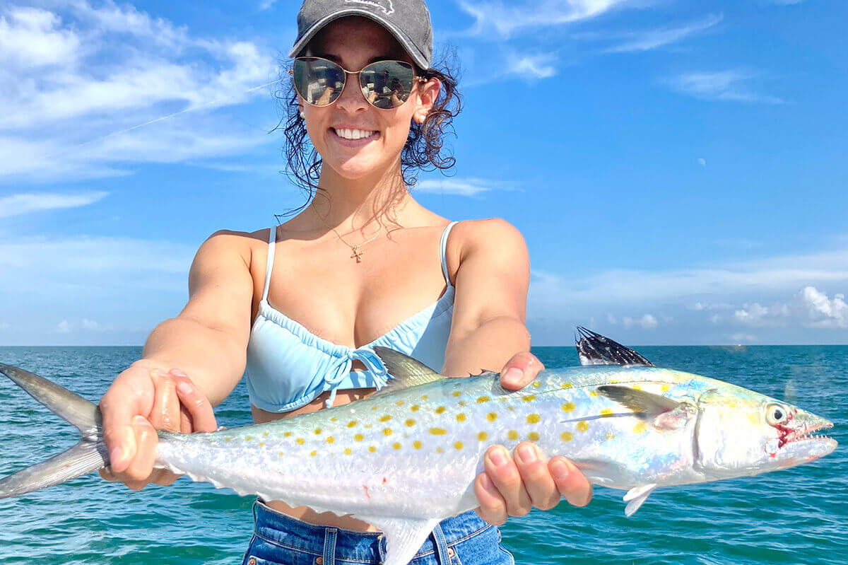 Spanish Mackerel