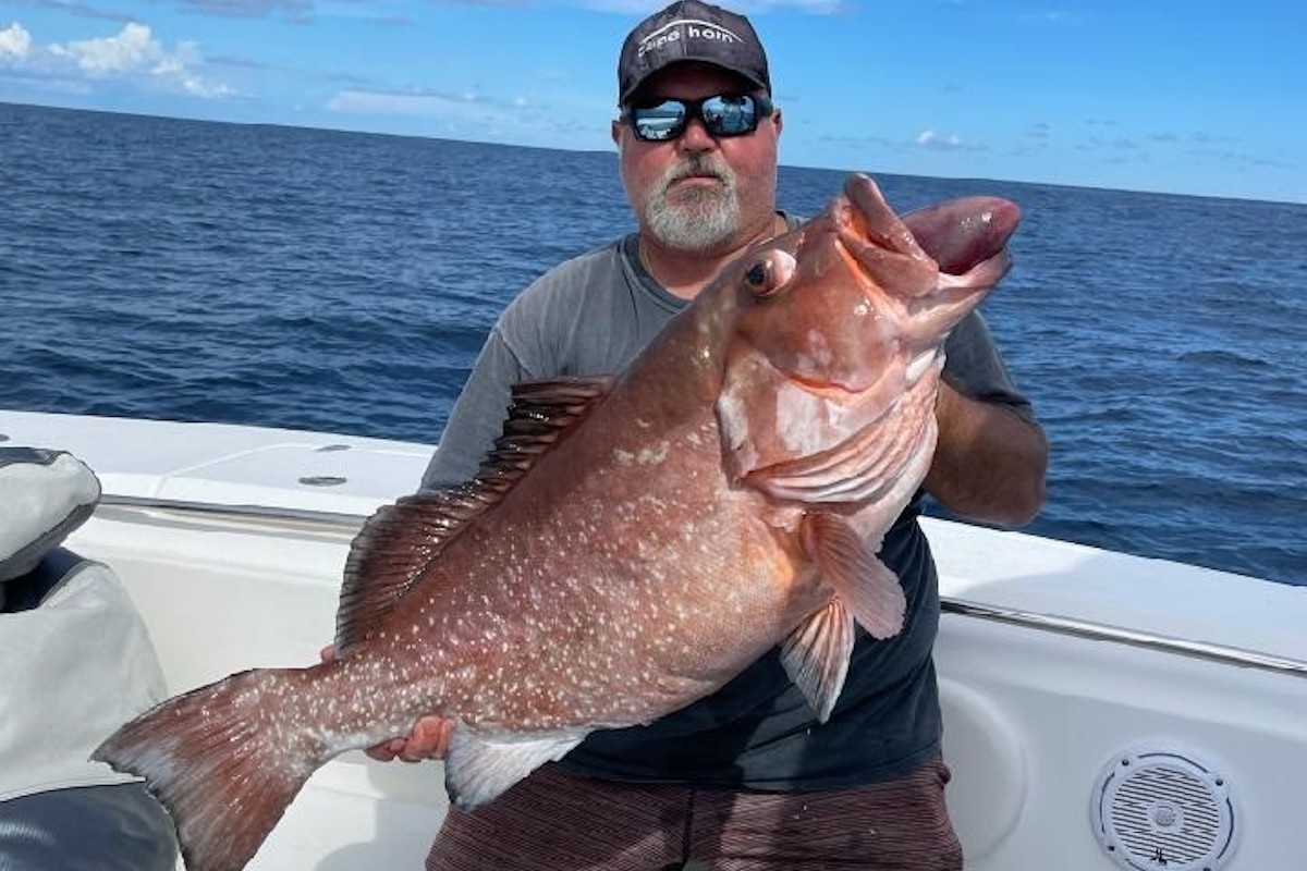 vietnam-fishing-tours-trips-travel-anglers-khanh-hoa-province-nha-trang-city-deep-sea-fishing-massive Groupers