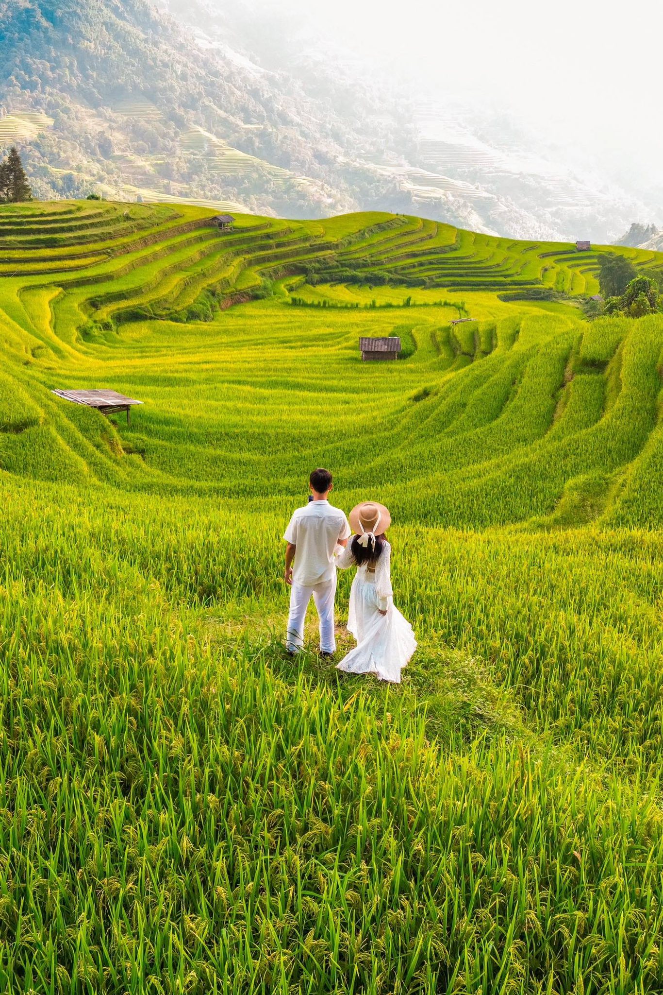 Ha Giang