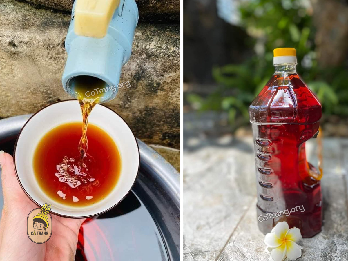 Bao Ninh fish sauce
