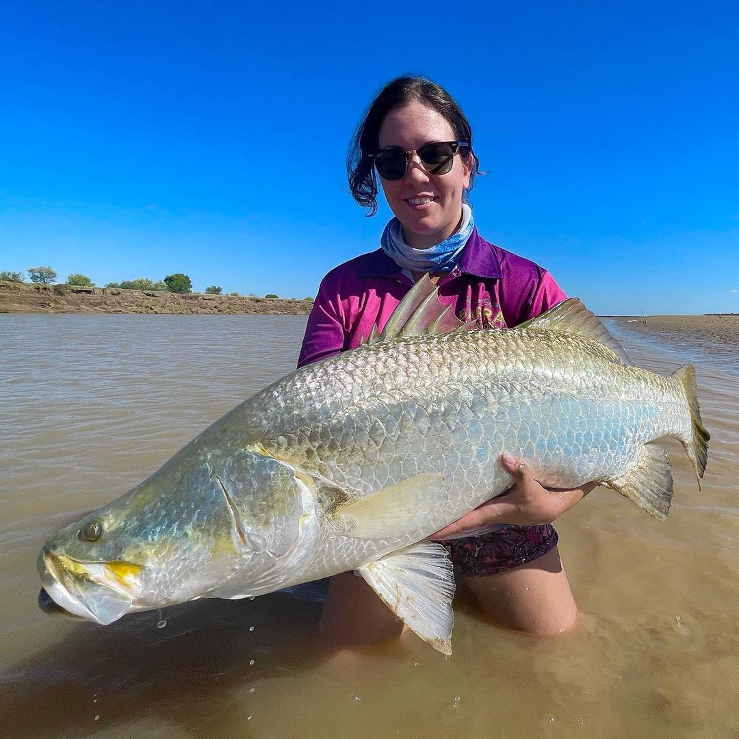 Barramundi
