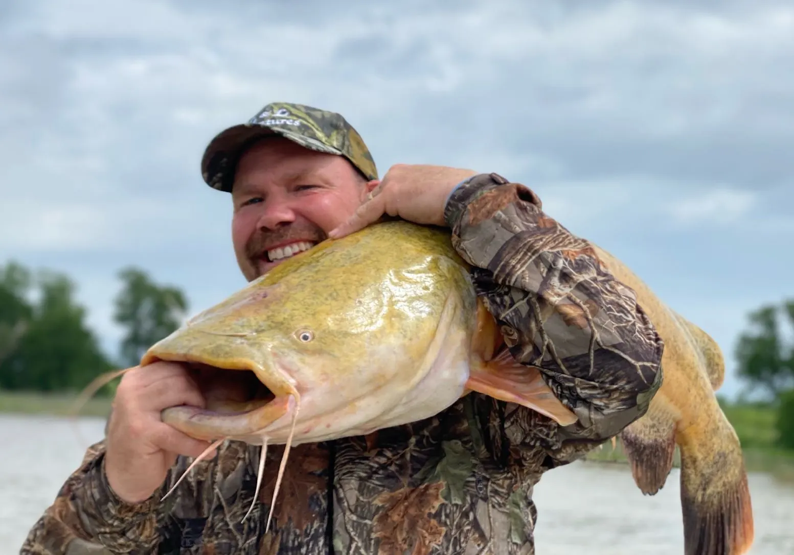 Bagrid Catfish