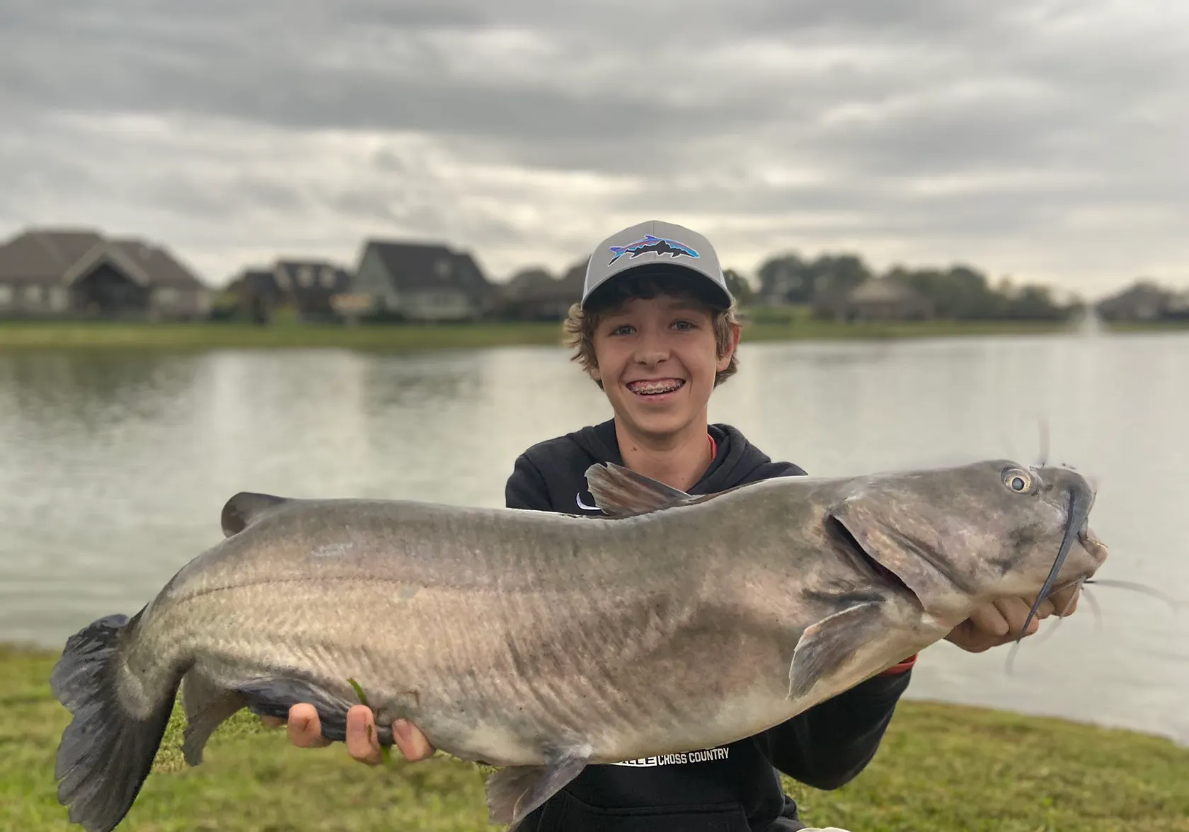 Bagrid Catfish