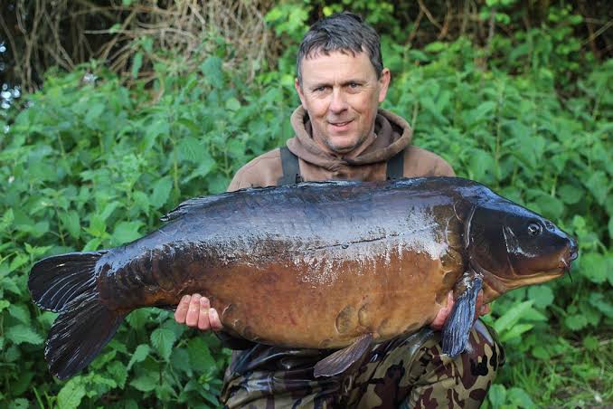 Black Carp