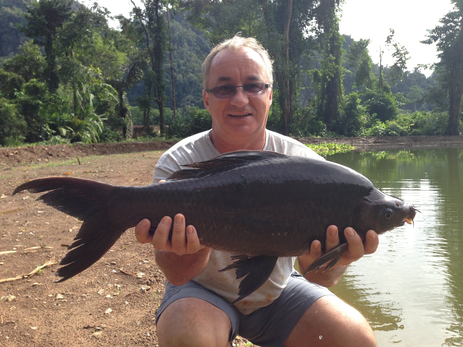 Black Carp