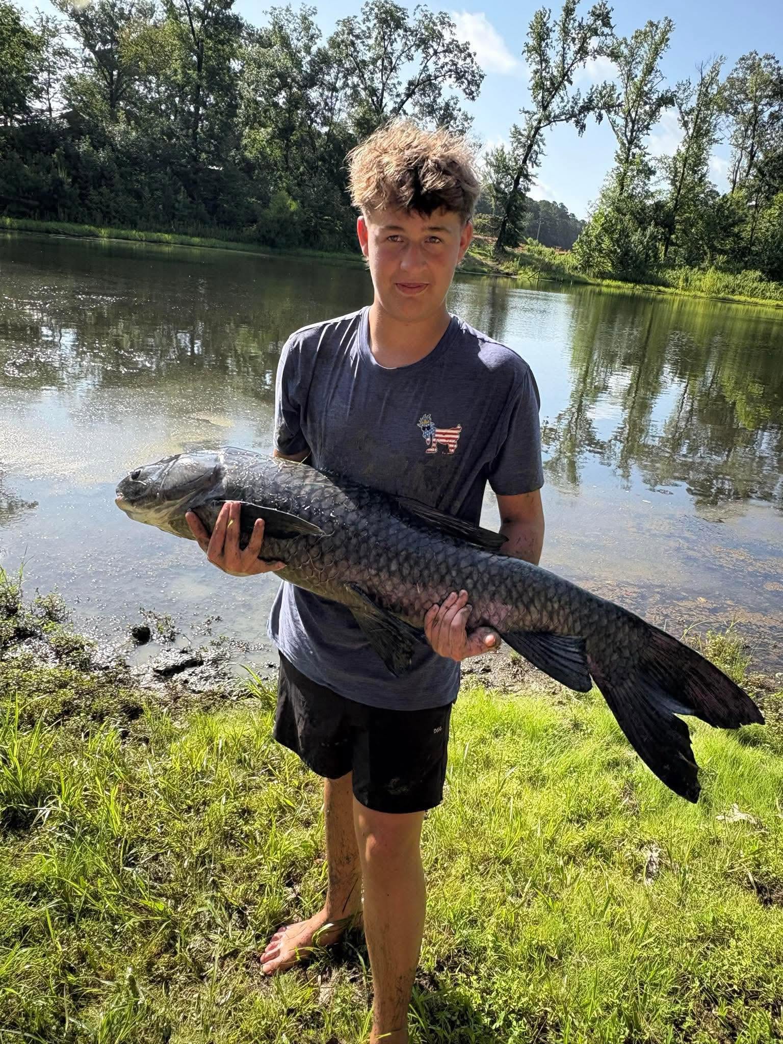 Black Carp