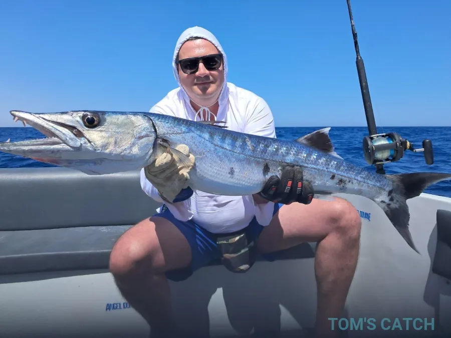 Cobia