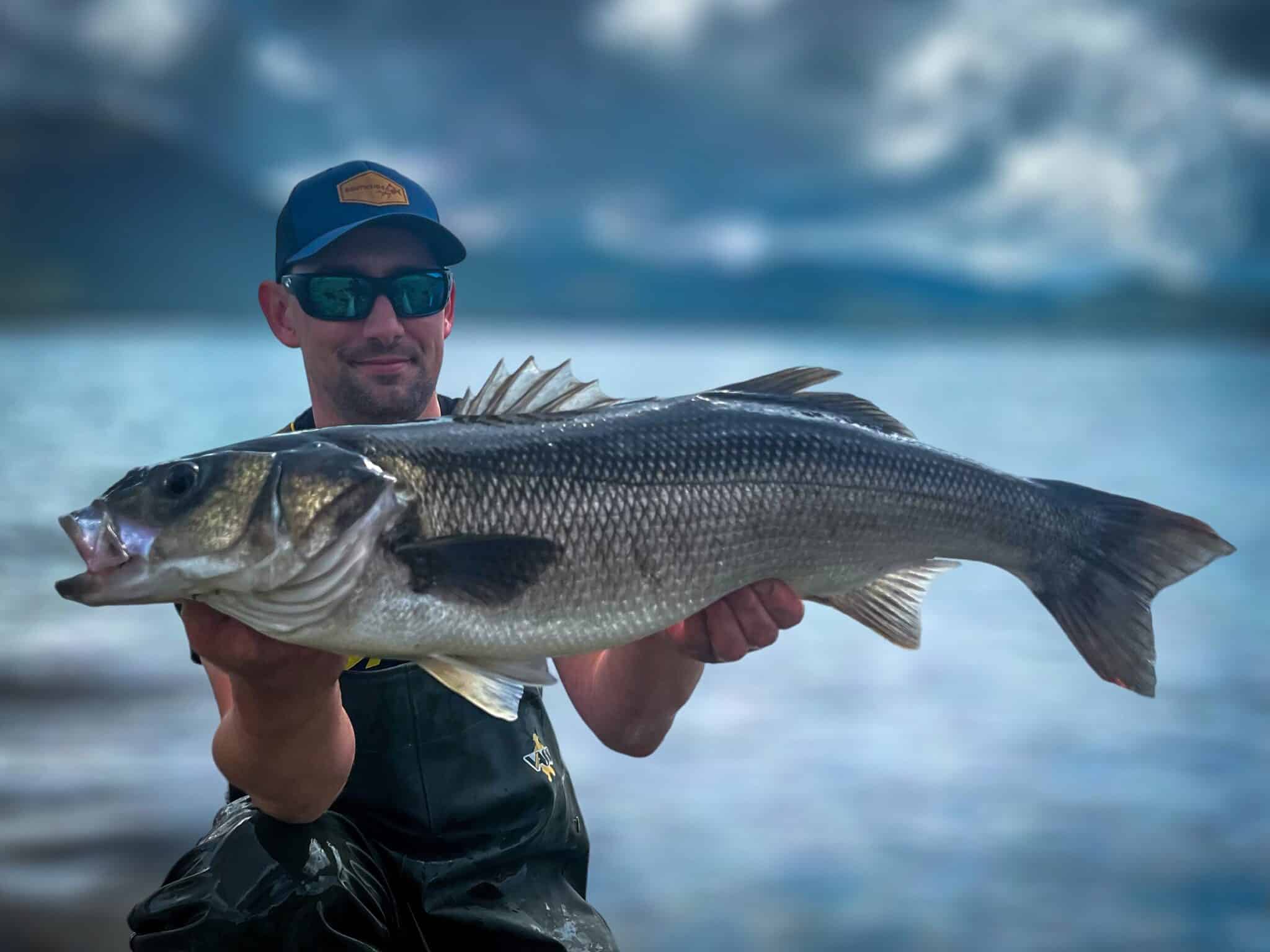 Seabass