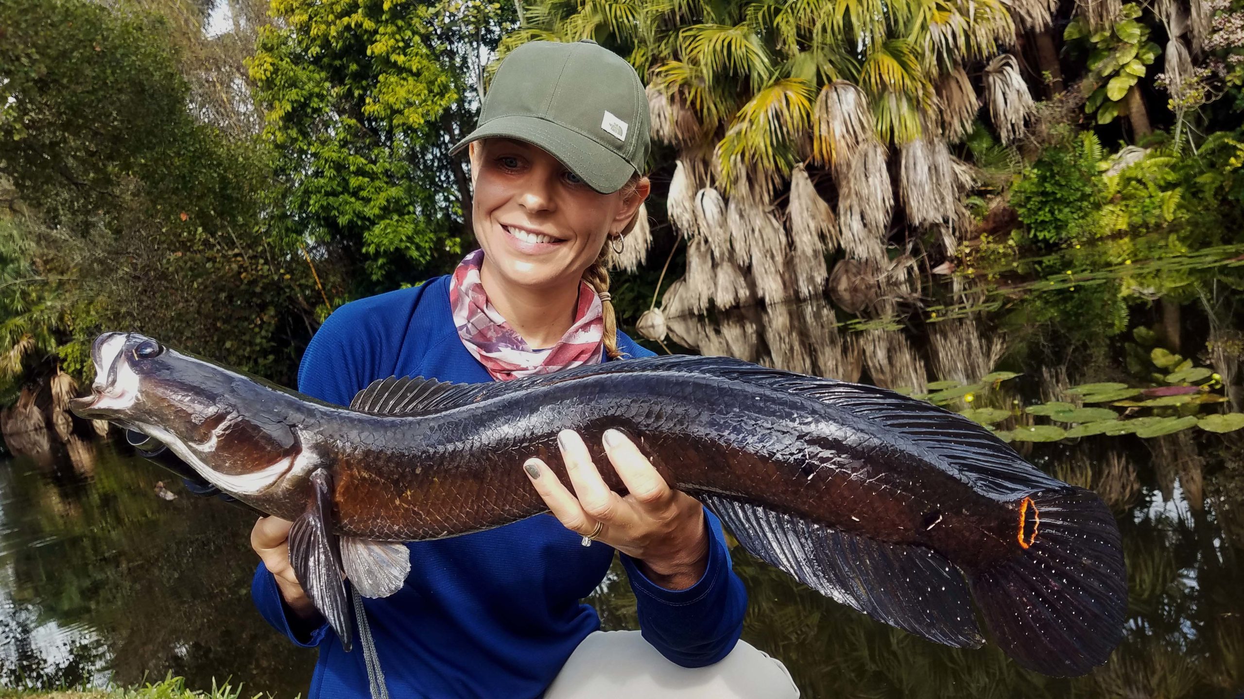 Deb-Bullseye-Snakehead-scaled