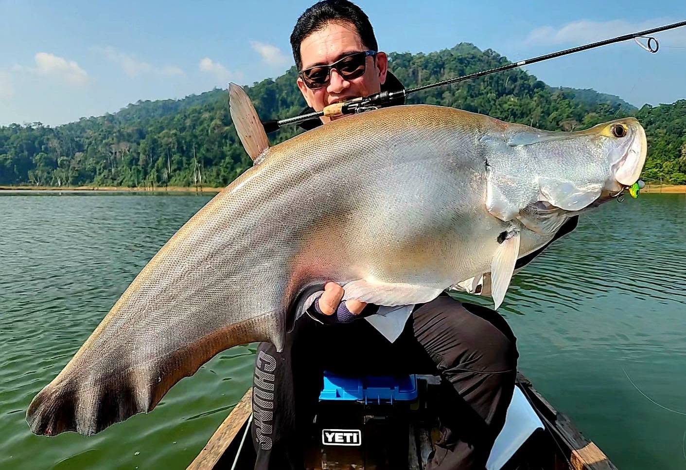 Giant Featherback