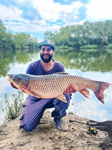 Grass Carp