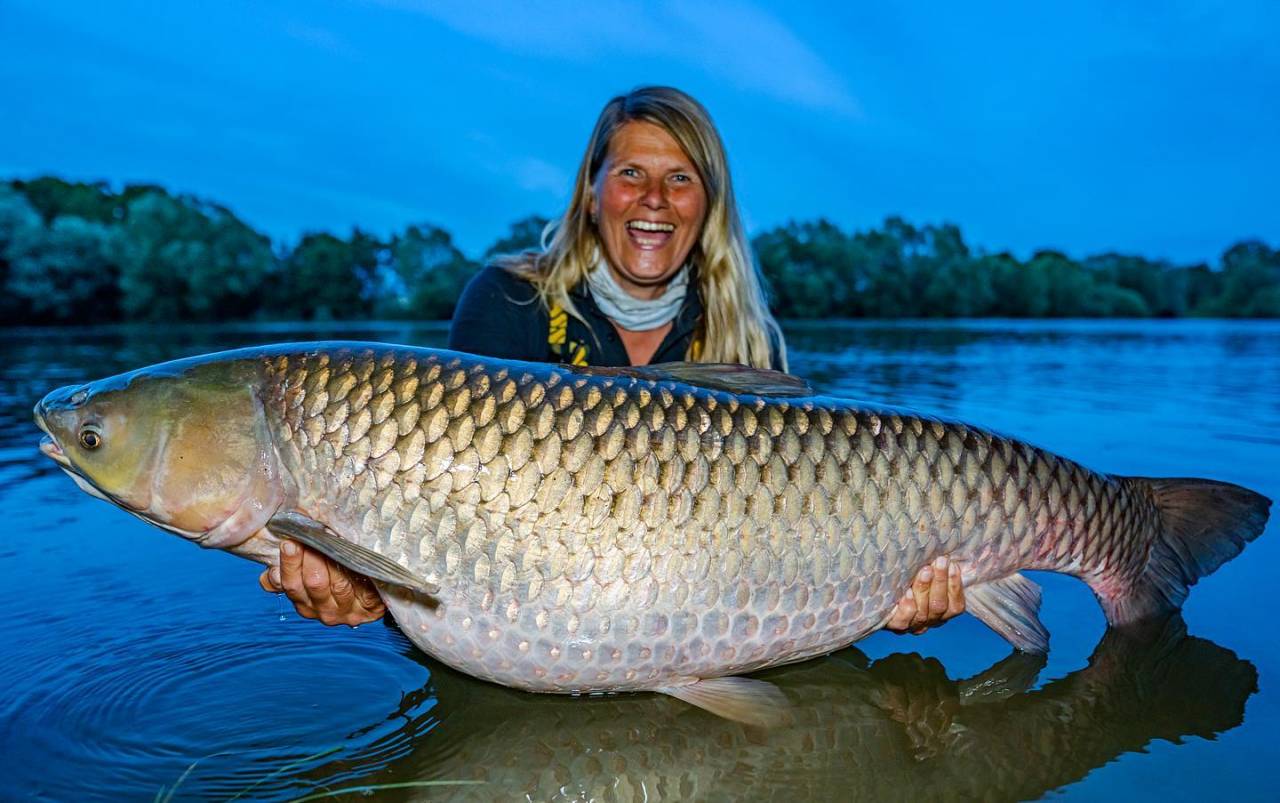 Grass Carp