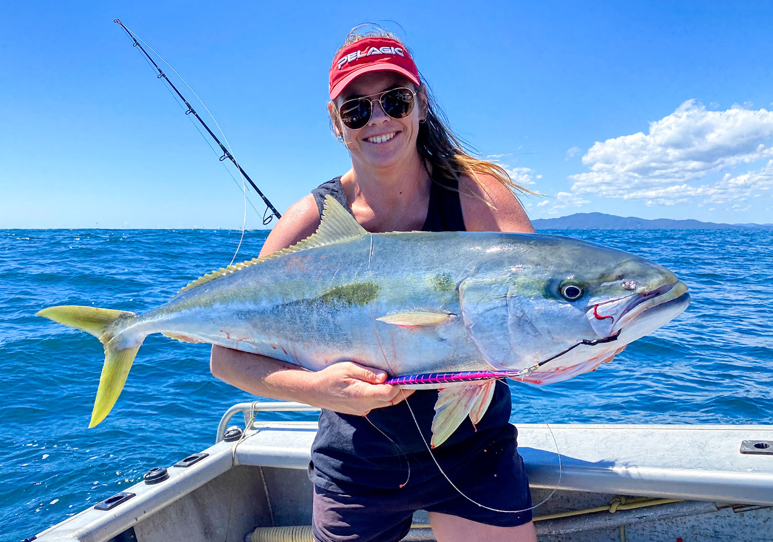 Kingfish