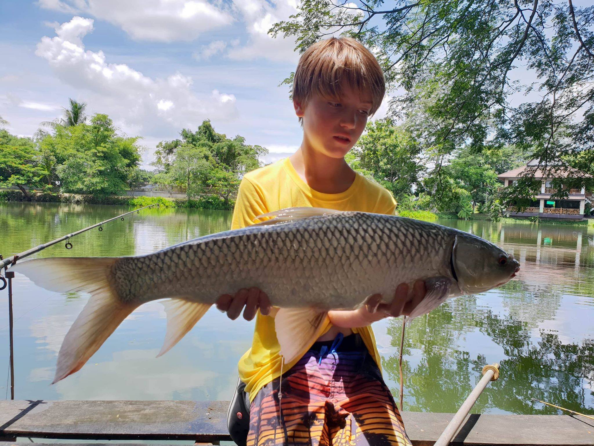 Mud Carp