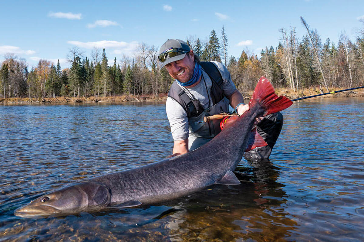 Siberian Salmon