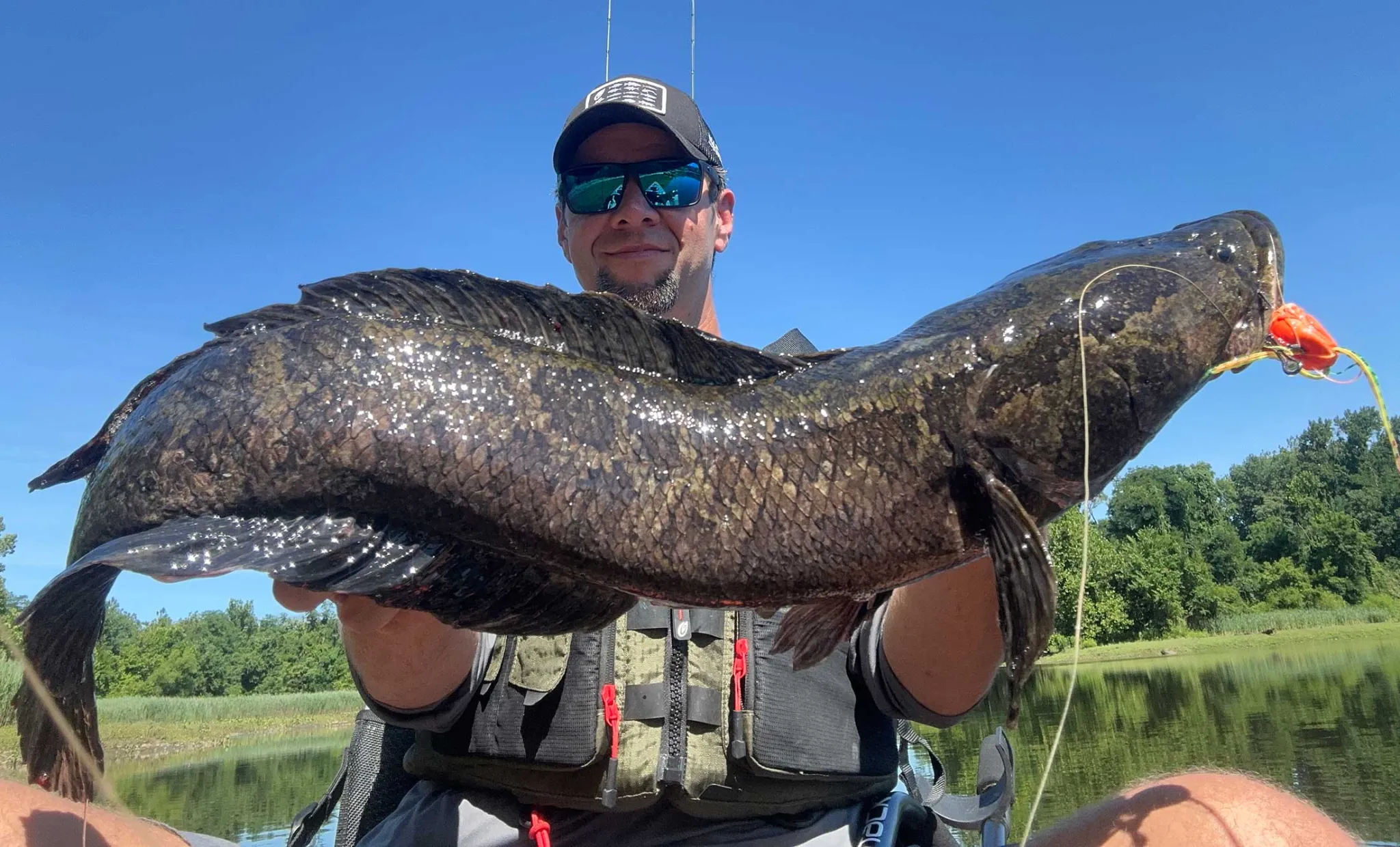 Snakehead