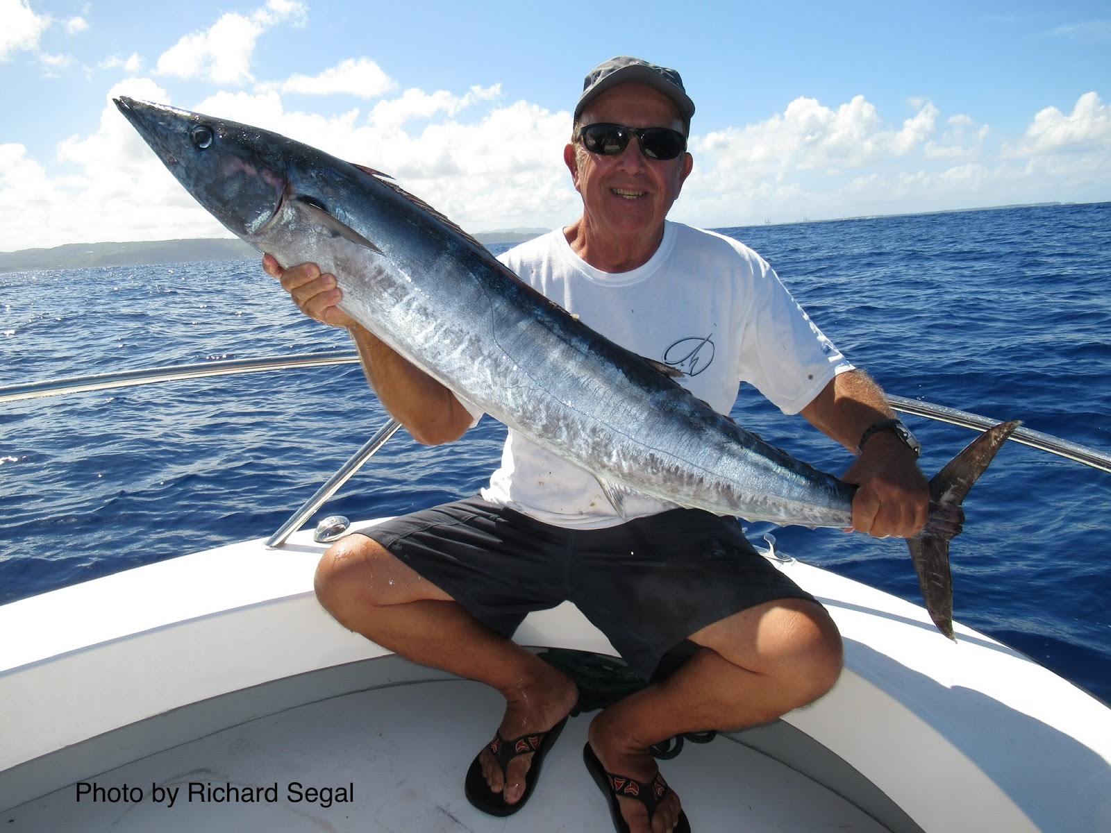 Spanish Mackerel