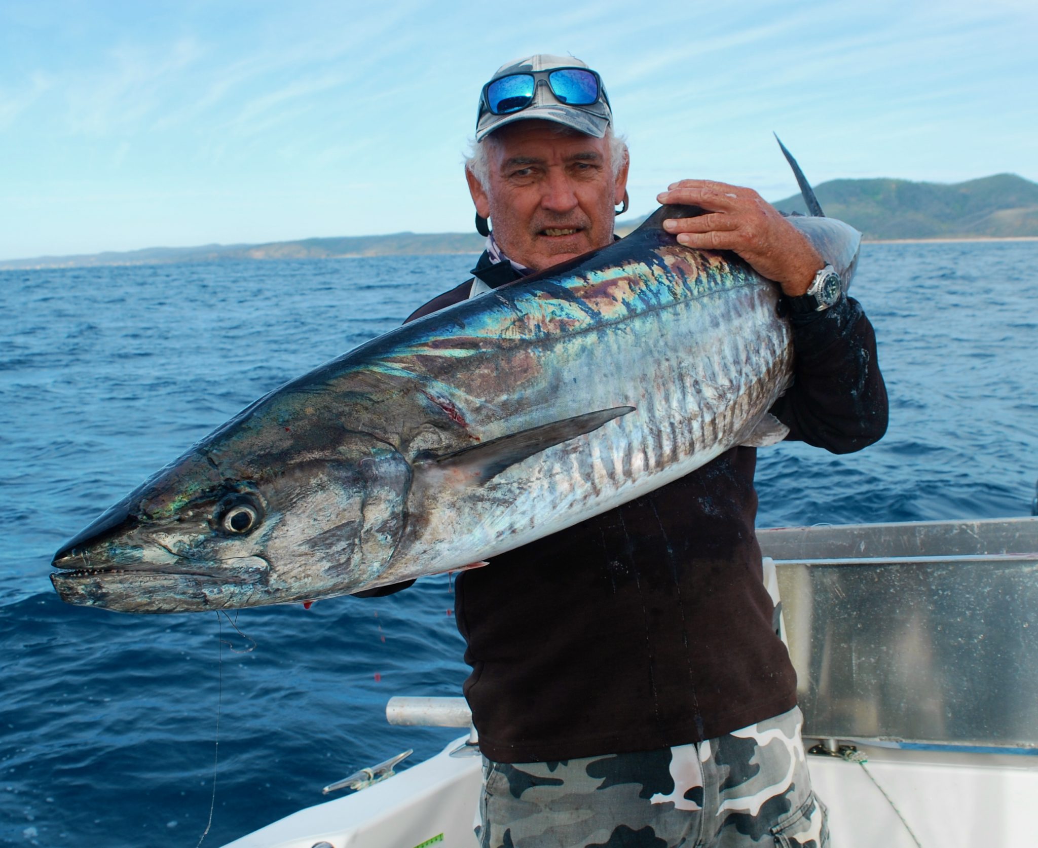 Spanish Mackerel