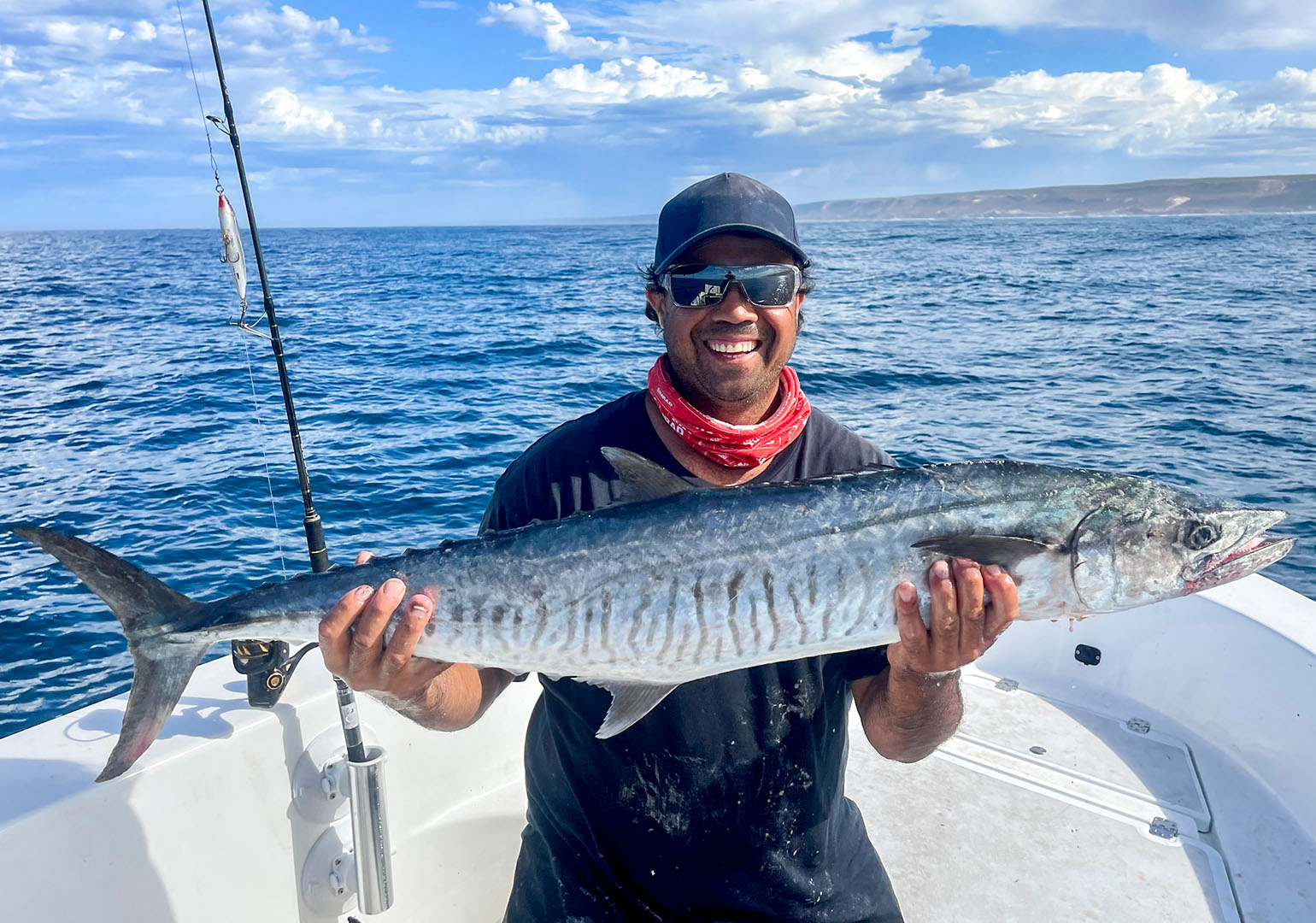 Spanish Mackerel