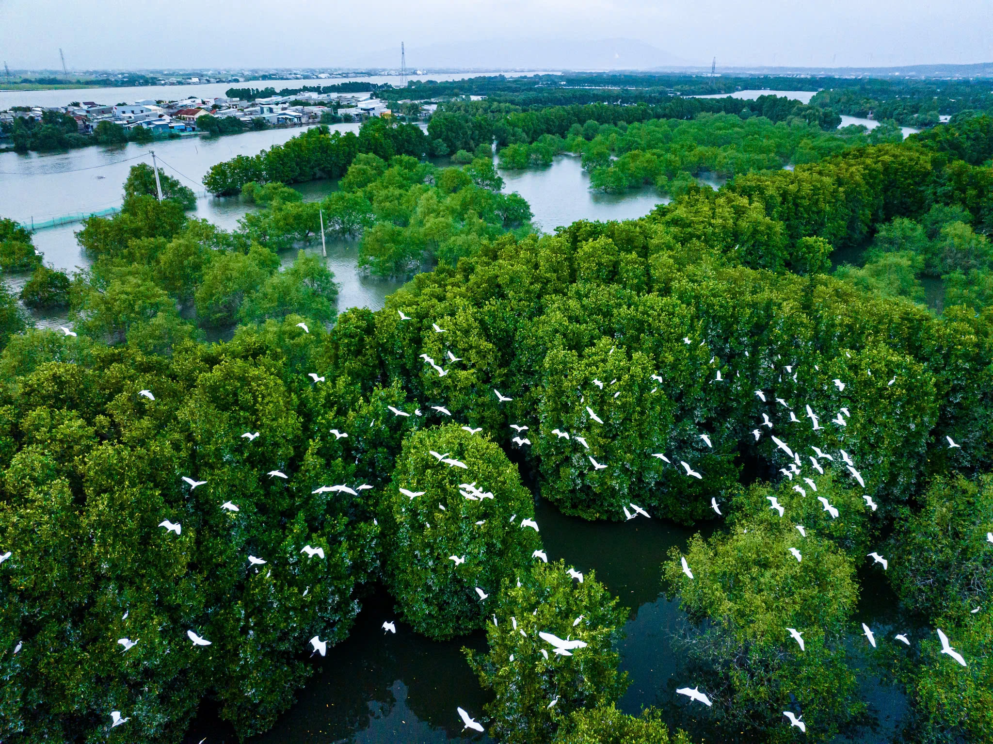 Thi Nai Lagoon (Đầm Thị Nại)